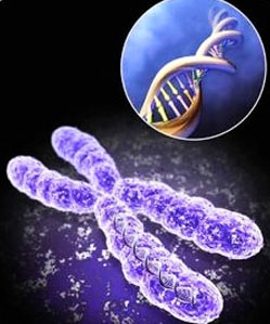 染色体异常检测，无创DNA和羊水穿刺哪个更好？