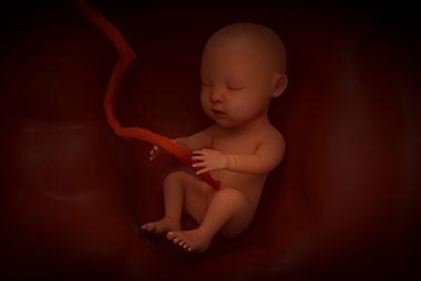 四维检查的项目，孕期的你了解多少？
